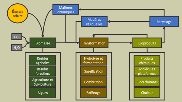 public://field/image/20170503_schema.png