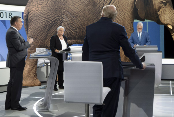 20180917_elephant.png