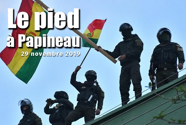public://field/image/20191129_pied.jpg