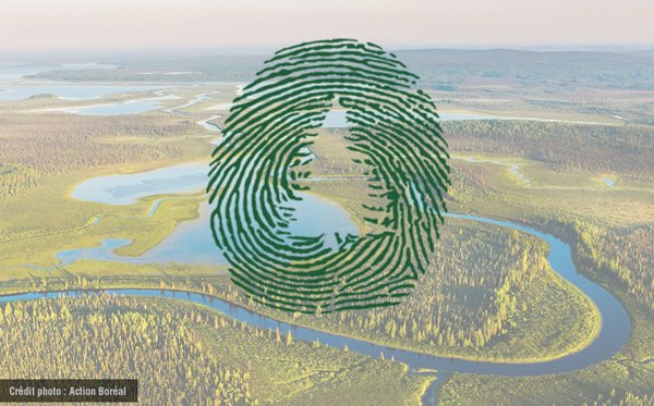public://field/image/20210505_action_boreal.jpg