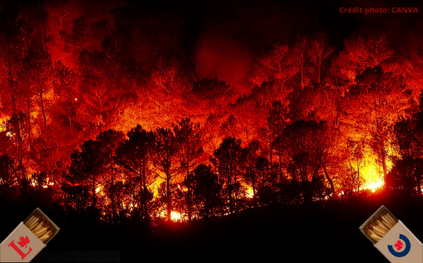 public://field/image/20210910_feu_foret_2.png