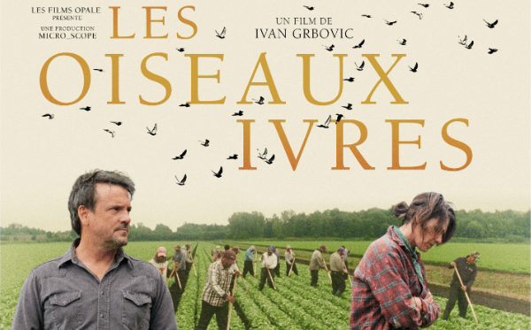 public://field/image/20211022_oiseaux_ivres_1.png