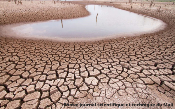 20220105_afrique_1.png