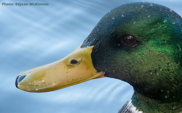public://field/image/20220128_colvert_1.png