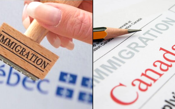 public://field/image/20220513_immigration_1.png