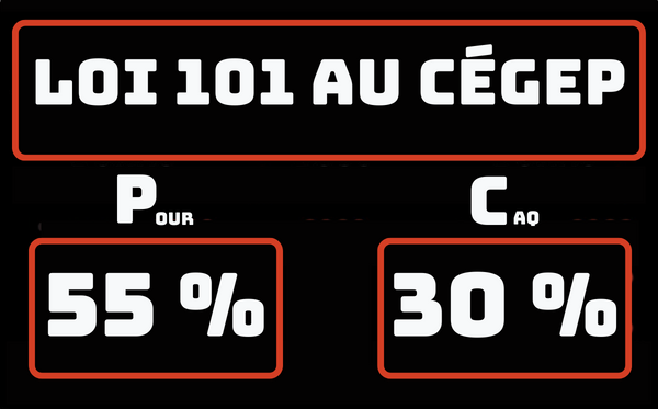 public://field/image/20220617_pointage_loi_101_cegep_1.png
