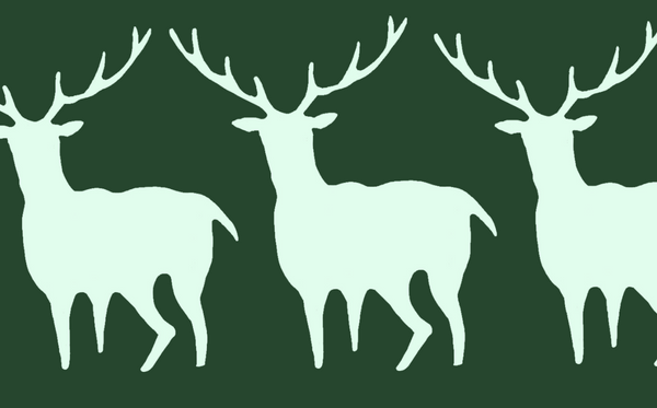 public://field/image/20230120_chevreuils_1.png