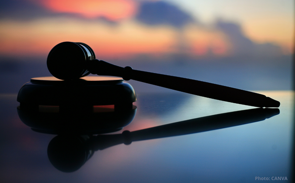public://field/image/20230301_tribunal_loi_21_1.png