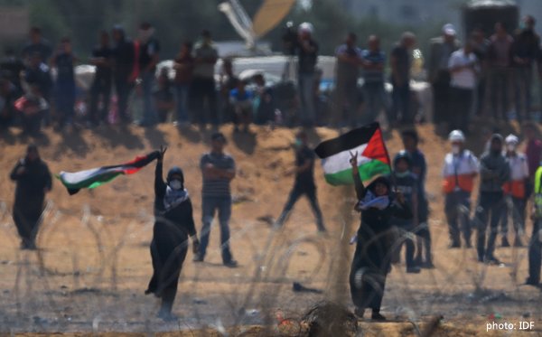 public://field/image/2023_10_13_palestine.jpg