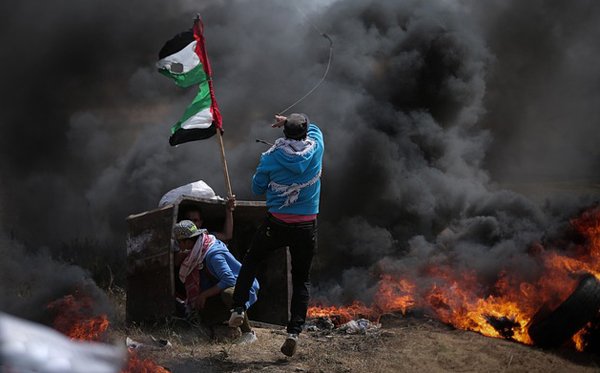 public://field/image/2023_11_24_robin_gaza.jpg
