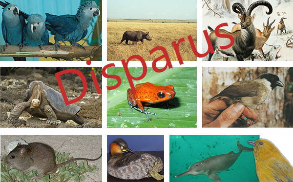 public://field/image/2024_03_22_biodiversite.png
