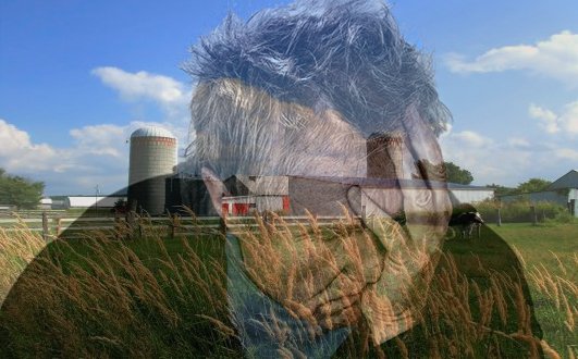 2024_04_17_ferme_detresse.jpg