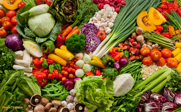 20250226_legumes_1