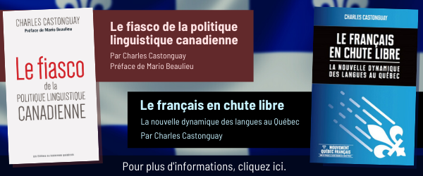 Castonguay_fiasco_chute_libre.png