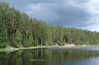 /sites/default/files/archives/images/photos_environnement/Finlande_lacforet.jpg