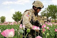 afghan-opium.jpg