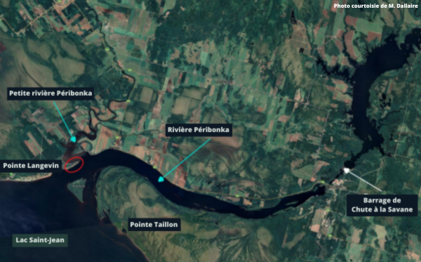 dallaire