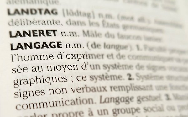 language_dictweb.jpg