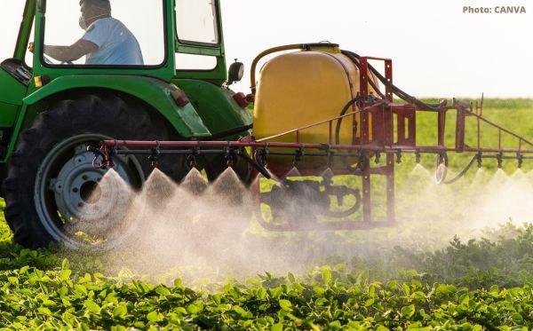 pesticides