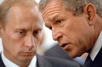 poutine-bush.jpg